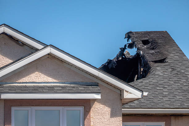 Top rated local Odor Removal specialists in Seminole, TX